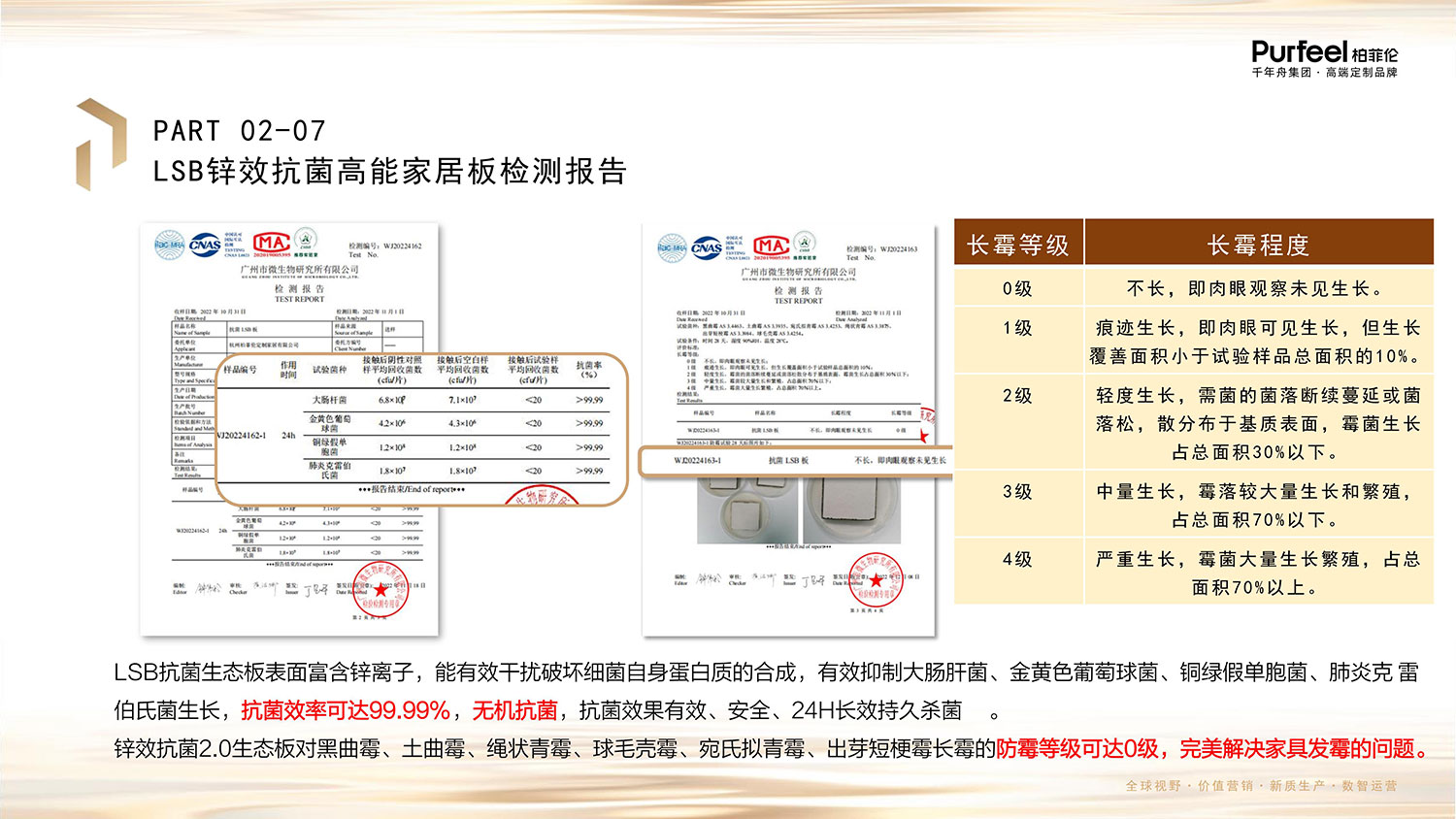 柏菲伦基材LSB介绍图片10