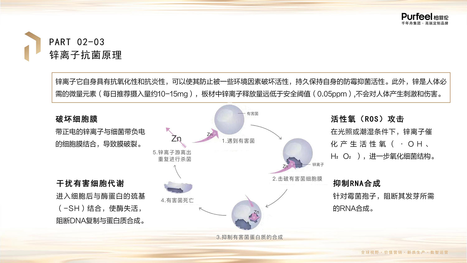 柏菲伦基材LSB介绍图片5